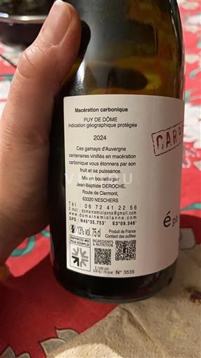 Loiredalen Puy-de-Dôme Épimacération Maceration carbonique 2024