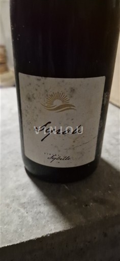 Provence, Lower Rhône Valley, Corsica Mediterranean Éole Syrah 2019