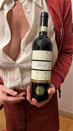 Piemonte Barolo Terredavino 2021