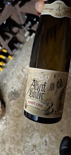 Alsacia Albert Boxler Hommage A J 2022