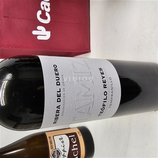 Castilien og León Ribera del Duero Teofilo Reyes Tamiz Ikke årgangsbestemt