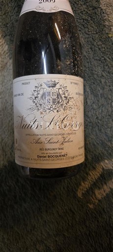 Burgundija Nuits-Saint-Georges Domaine Bocouenet Aux Saint Julien 2009