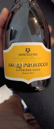 Vinos Espumosos Blanc extra-sec Collezione Privata Montelvini Non millésimé Italia Véneto No especificado DOC