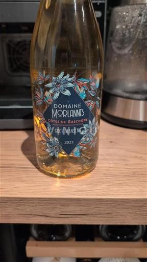 Sud-Ovest Côtes de Gascogne Domaine Morlanne Gros Manseng 2023