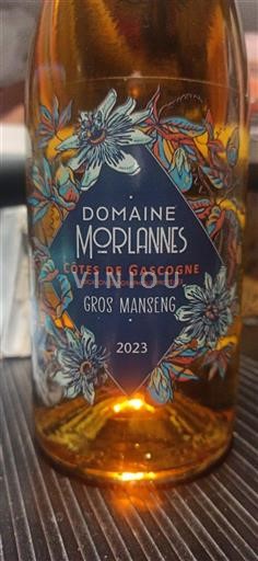 Jugperëndim Bregdeti i Gasconisë Domaine Morlanne Gros Manseng 2023