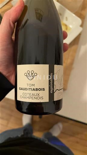 Champaña Coteaux champenois Tom Gauditiabois Les survivants E11 2021