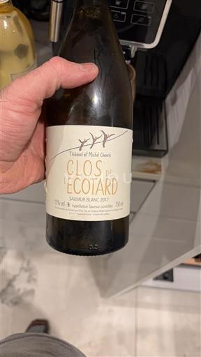 Valle del Loira Saumur Clos de l'Ecotard 2017