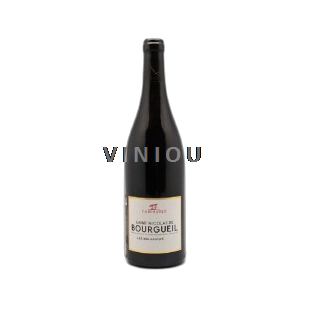 Loire-dalen Saint-Nicolas-De-Bourgueil Yannick Amirault Les Malgagnes 2019