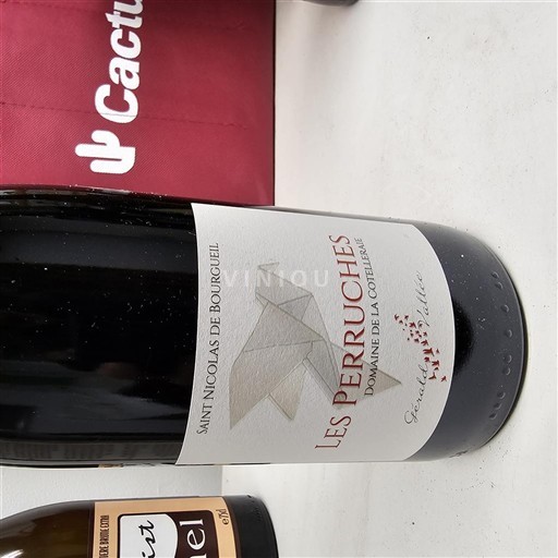 Loire-dalen Saint-Nicolas-De-Bourgueil Domaine La Cotelleraie Les Perruches 2021