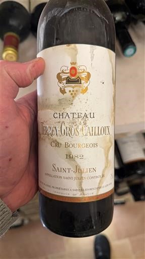 Bordeaux Saint-Julien Château Terrey-Gros Cailloux 1982