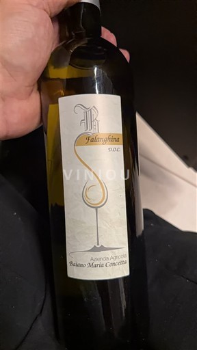 Kampánie Falanghina del Sannio Azienda Agricola Baiano Maria Concetta Neročník