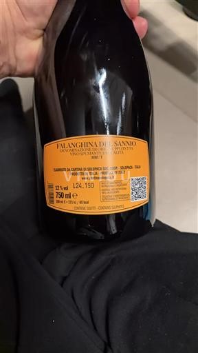 Kampánie Falanghina del Sannio Cantina di Solopaca Neročník