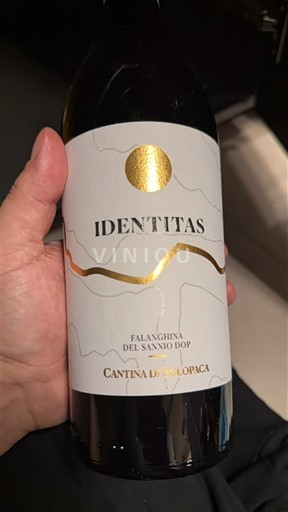 Kampánie Falanghina del Sannio Cantina di Solopaca Identitas Neročník