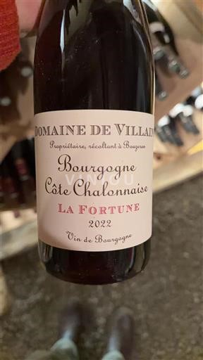 Bourgogne Bourgogne-côte-chalonnaise Domaine Villaine La Fortune 2022