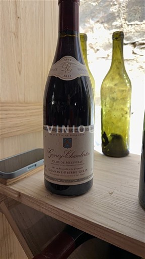 Bourgogne Gevrey-chambertin Domaine Pierre Gelin Clos de Meixvelle 2011