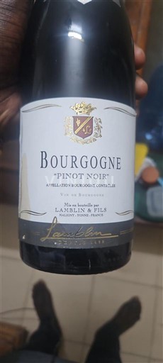 Borgoña Lambin & Fils Pinot Noir Sin añada
