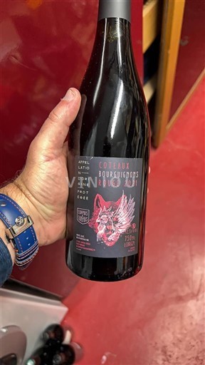Burgundy Coteaux Bourguignons Inconnu 2021