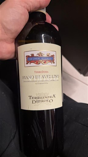Campania Fiano di Avellino Terredora di Paolo Non-Vintage