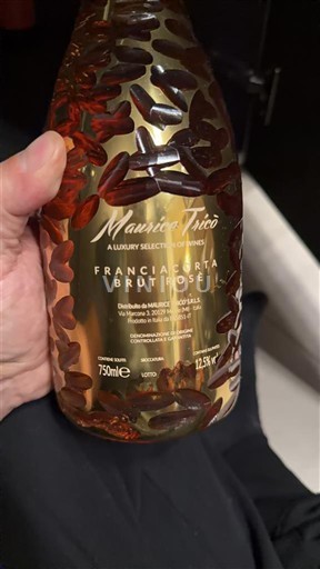 Lombardia Franciacorta Maurizio Tico Senza annata