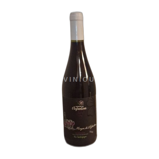 Beaujolais Morgon Domaine L'Eglantine Morgon de l'Eglantine 2020