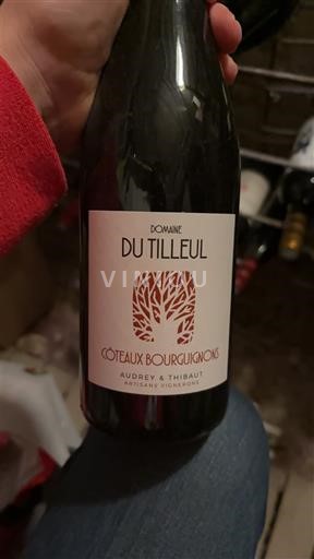 Vinhos Rouge sec Domaine Tilleul 2024 França Borgonha Coteaux da Borgonha AOC