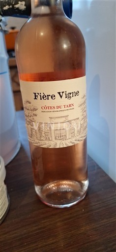 Sudoeste Côtes do Tarn Fière Vigne Não Sazonado