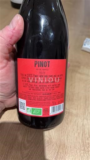 Loire-dalen Ikke specificeret Pinot 2024