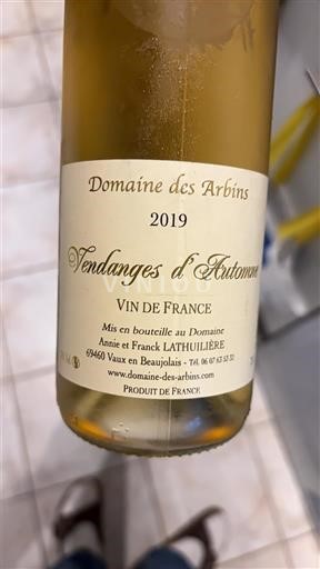 Vinos Blanc moelleux Vendanges d'Automne Domaine S Arbins 2019 Francia Beaujolais AOC