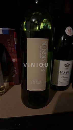 Jugozahod Côtes de Gascogne Terres des Vignes Sauvignon Neleten.