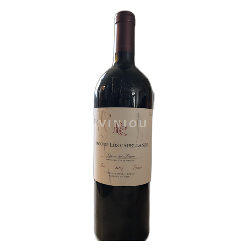 Castilien og León Ribera del Duero Pago de los Capellanes Crianza 2017