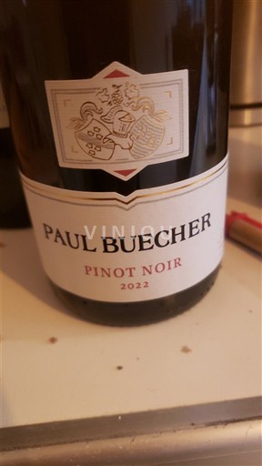 Alsacia Paul Buecher Pinot Noir 2022
