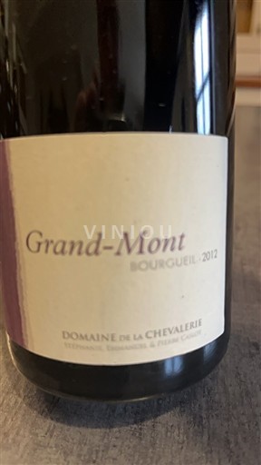 Údolí Loiry Bourgueil Domaine La Chevalerie Grand-Mont 2012