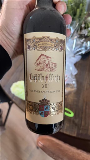 Aragón Castillo Alfonso XIII 2016