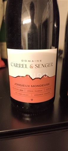 Saboya y Bugey Jongieux Domaine Carrel & Senger 2021