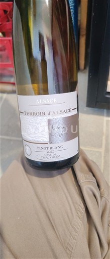 Alsace Cave de Turckheim Terroir d'Alsace Non Millésimé