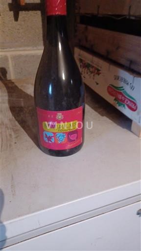 Vin Rouge sec Honoré Lavigne 2022 France Beaujolais AOC