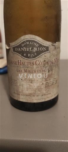 Borgoña No especificado Domaine Daniel Rion Les Meix Lottés 1993
