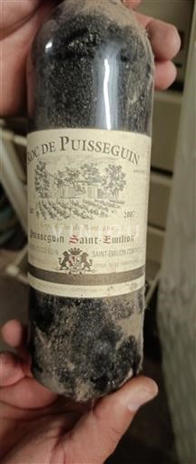 Bordeaux Puisseguin-saint-émilion Roc de Puisseguin 2007