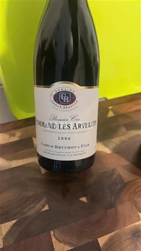 Borgoña Pommard Premier Cru Camus-Bruchon & Fils Pommard Les Arvelets 2006