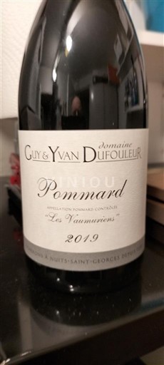 Burgundija Pommard Domaine Guy & Yvan Dufouleur Les Vaumuriens 2019