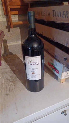 Bordeaux Blaye-côtes-de-bordeaux Château Canteloup 2020