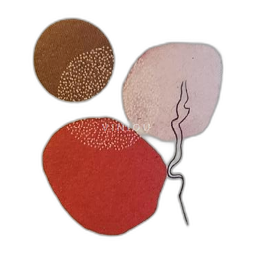 Vin Blanc sec Symbiose Domaine Charles Frey 2020 France Alsace Gewurztraminer AOC