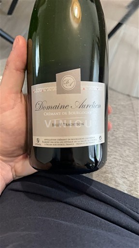 Burgundsko Crémant de Bourgogne Domaine Aurélien Brut Tradition Neročník