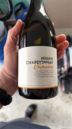 Vin Blanc sec Réserve Chevancy 2023 France Bourgogne Bourgogne Chardonnay AOC