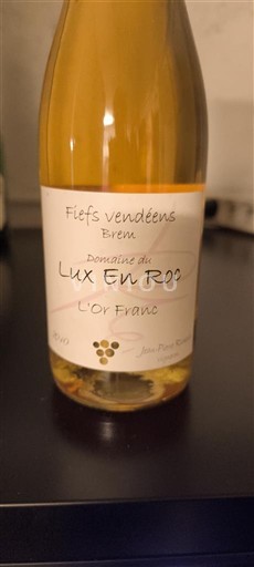 Loire-dalen Ikke specificeret Domaine Lux En Roc L'Or Franc 2010