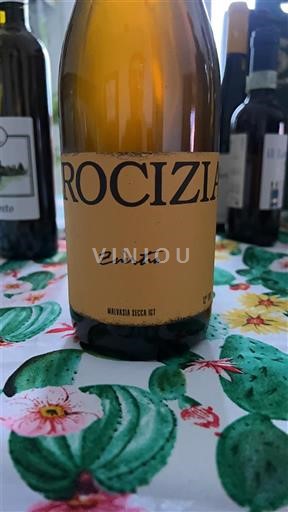 Emilia Crocizia Zinestra 2023