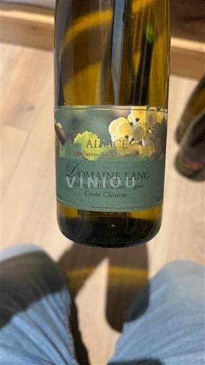 Alsace Domaine Lang Clément 2019