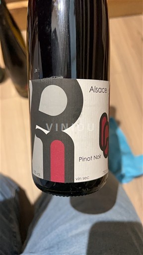 Alsace Domaine Lang 2019
