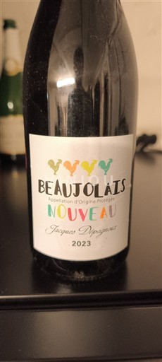 Vin Rouge sec Nouveau Jacques Depagneux 2023 France Beaujolais AOC