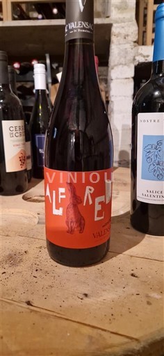 Languedoc ja Roussillon Côtes de Thongue Domaine Valensac Alfred Ei vuosikertaa